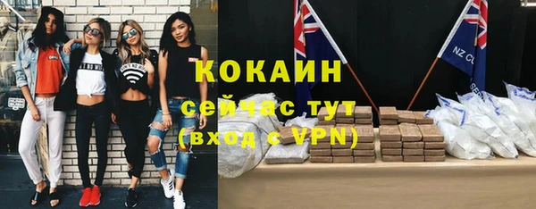не бодяженный Арсеньев