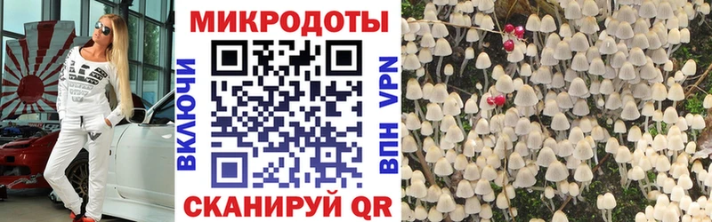 Галлюциногенные грибы GOLDEN TEACHER  mega ссылки  Ивдель 